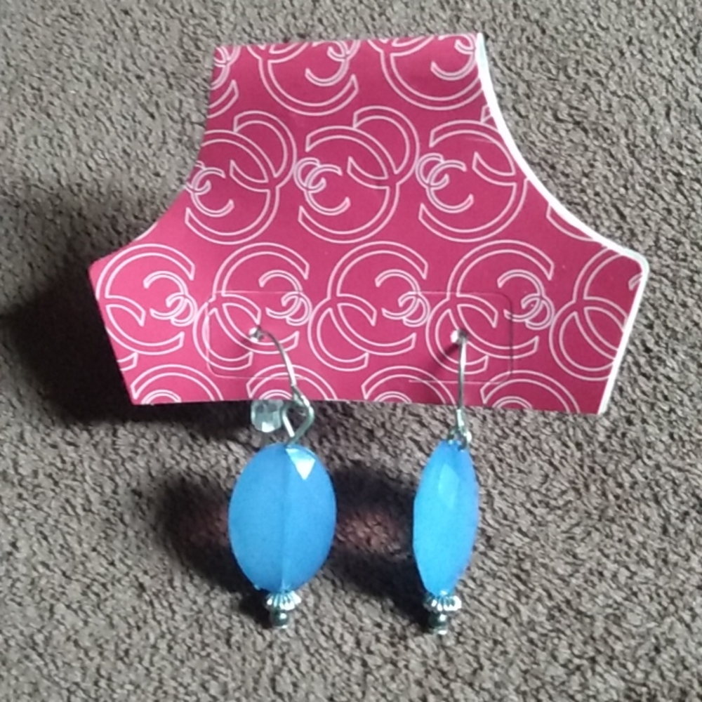 Blue polished stone earrings no brand